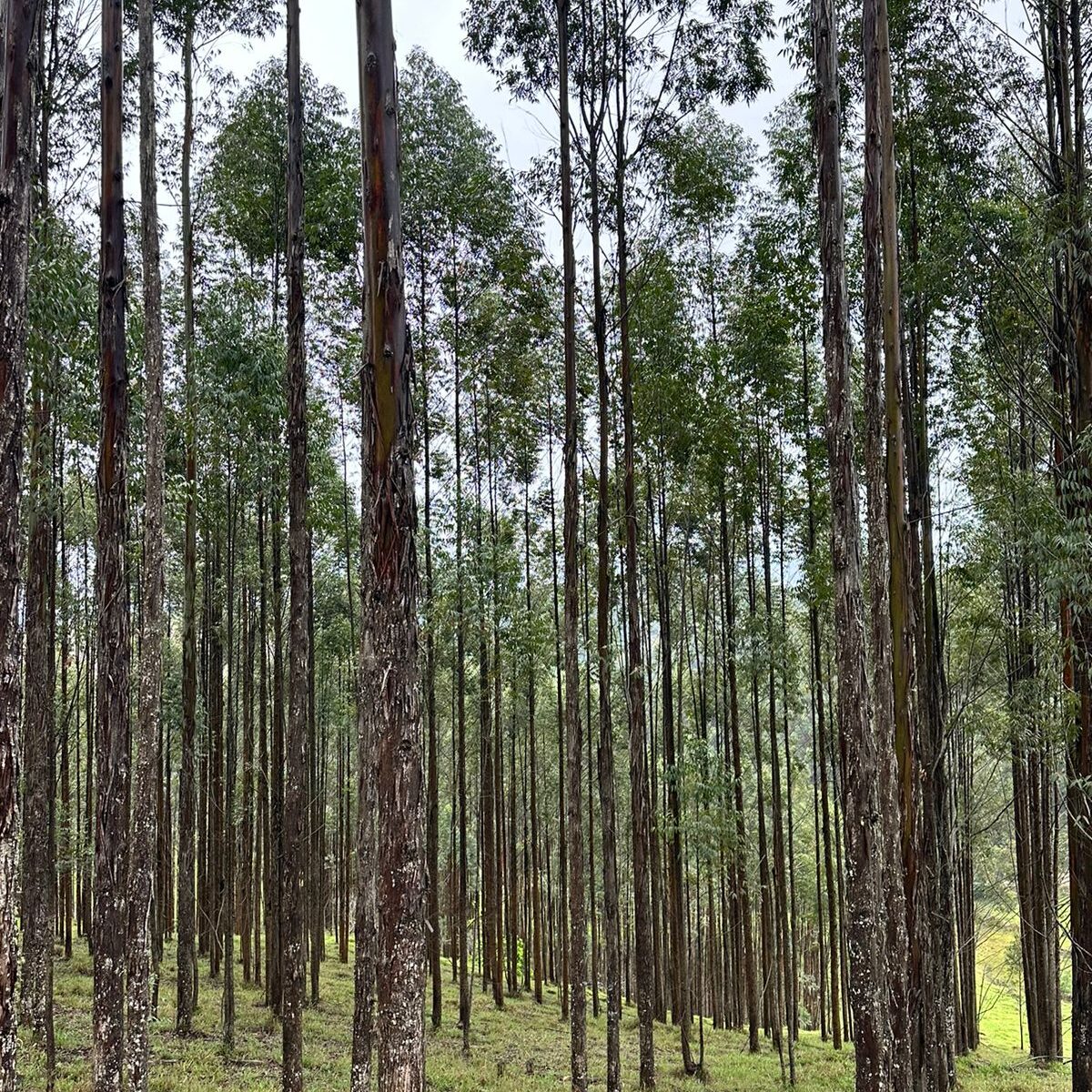 Dicas práticas para fazer a transição do CLT para o empreendedorismo com segurança