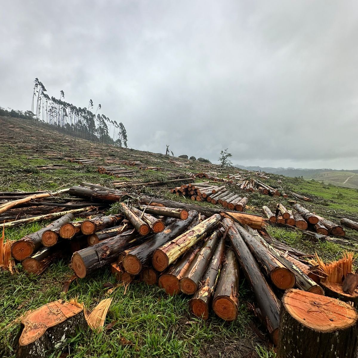 Os primeiros passos para empreender: O que fazer logo após deixar o CLT